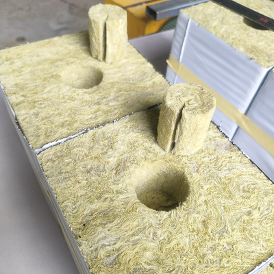 Lightweight Odorless Eco-Friendly Rock Wool Insulation Material Modern Design Style for Hydroponics Nursery Planting